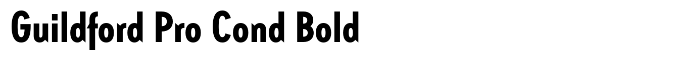 Guildford Pro Cond Bold